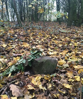 Natuurbegraafplaatsen en vergroening van bestaande begraafplaatsen