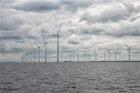 De impact van offshore windmolenparken op de visbestanden