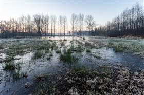 Een habitattoets is geen verscherpte natuurtoets, en omgekeerd